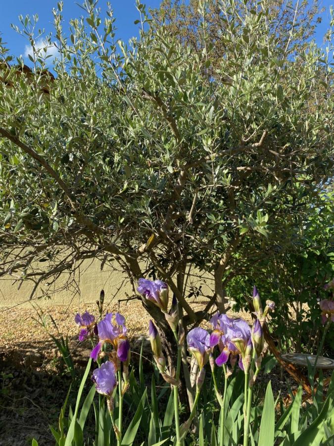 Entrecasteaux L'Eveil En Provence B&B 외부 사진